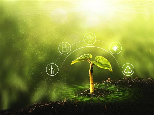 A greener world: our policies for the environment