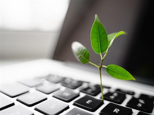 Fighting greenhouse gases