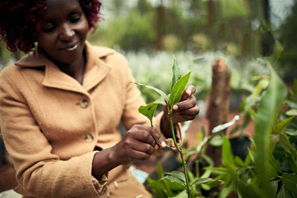 Fincons Group - Sustainability