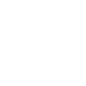 Manages customer profiles in a comprehensive and omnichannel manner