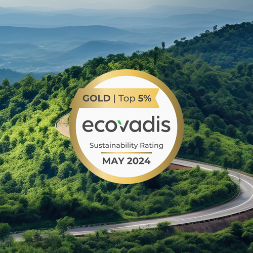 FINCONS ECOVADIS RANKING