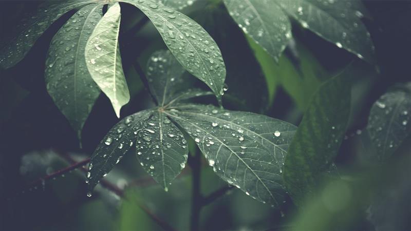 The Rising Importance of ESG in Business Strategy