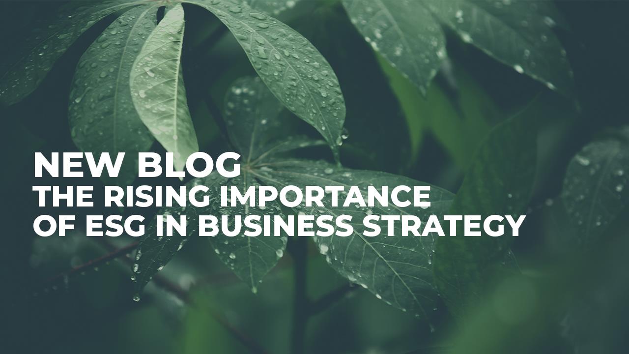 The Rising Importance of ESG in Business Strategy