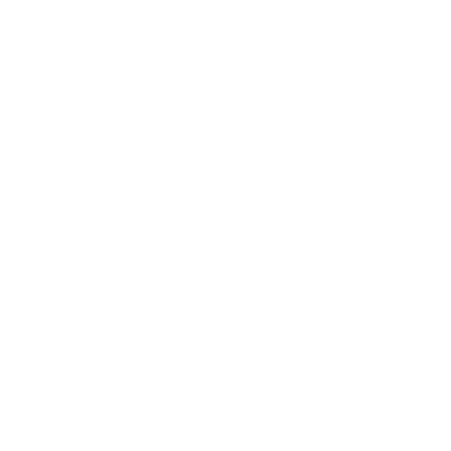STREAMLINES AND INTEGRATES