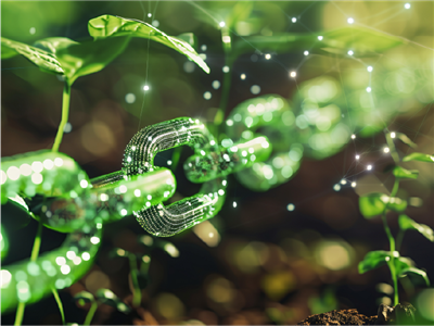Orion, a smart Digital Twin for more efficient water networks