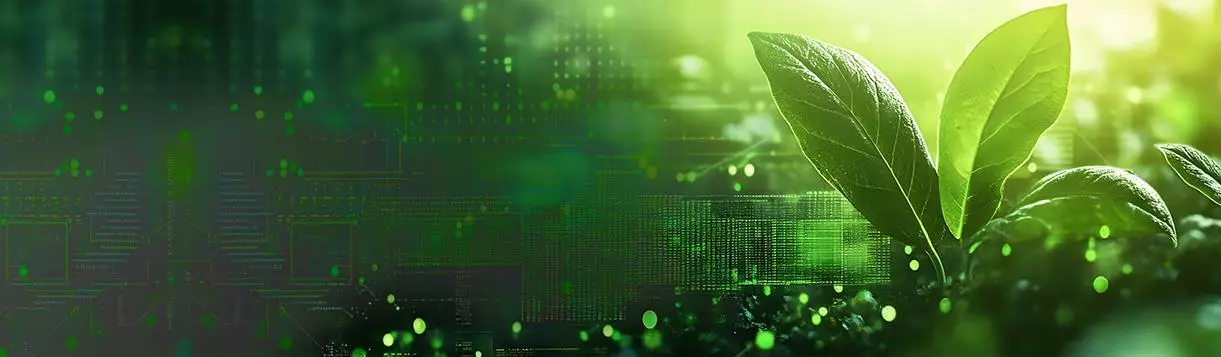 Green Coding