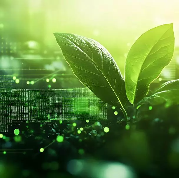 Green Coding