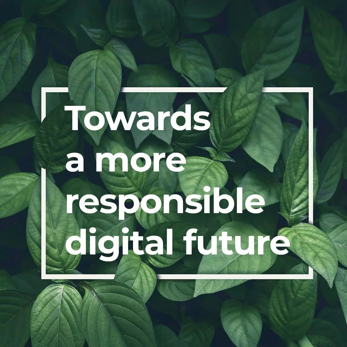 Governance for a green digital