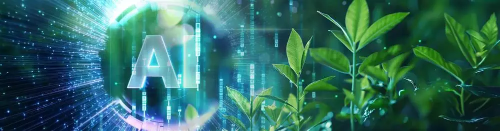 Bringing energy efficiency to the performance table: EcoDev’s Green Coding flow